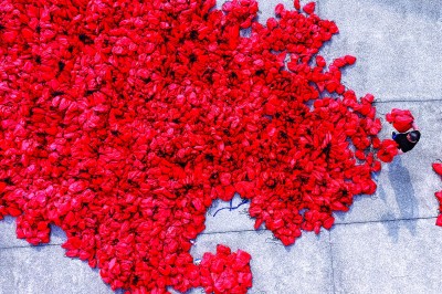 影家协会航, amp