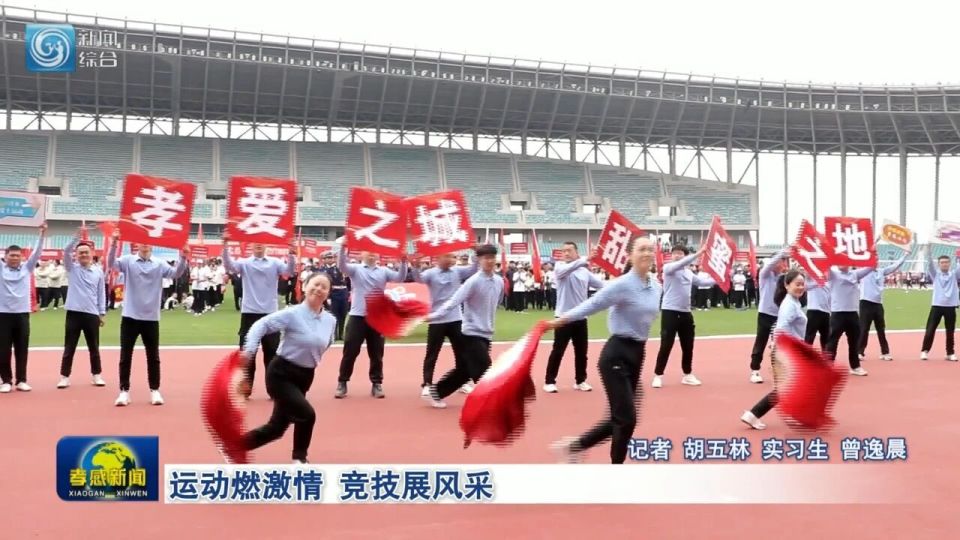 王汝柠, 形式多样的, inews